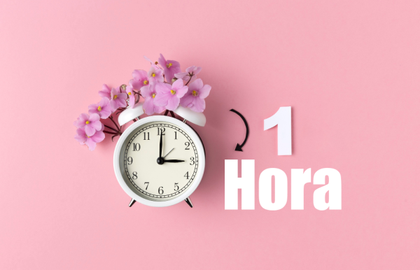 Renta x 1 Hora